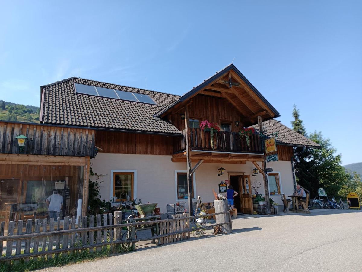 Stadl an der Mur ダ ブラウハウザーヴィラ エクステリア 写真